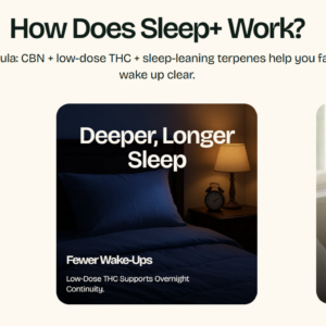 092dd202-355e-49d7-8214-7ff8bc2b0588.png Erth Wellness Sleep+ Hemp THC & CBN Gummies Pouch