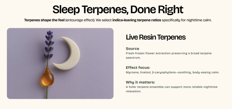 5202174f-64f6-4918-a221-362cc10feeb3.png Erth Wellness Sleep+ Hemp THC & CBN Gummies Pouch