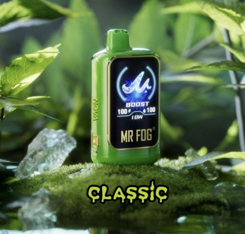 Mr. Fog Mint Steezy 5% Nic Disposable Device
