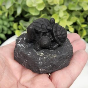 91b4c5c9-9b9b-44b3-ae5d-7a059c2c2533.jpeg Shungite Figurine Turtle Family (1.75"x1.5") EMF Protection