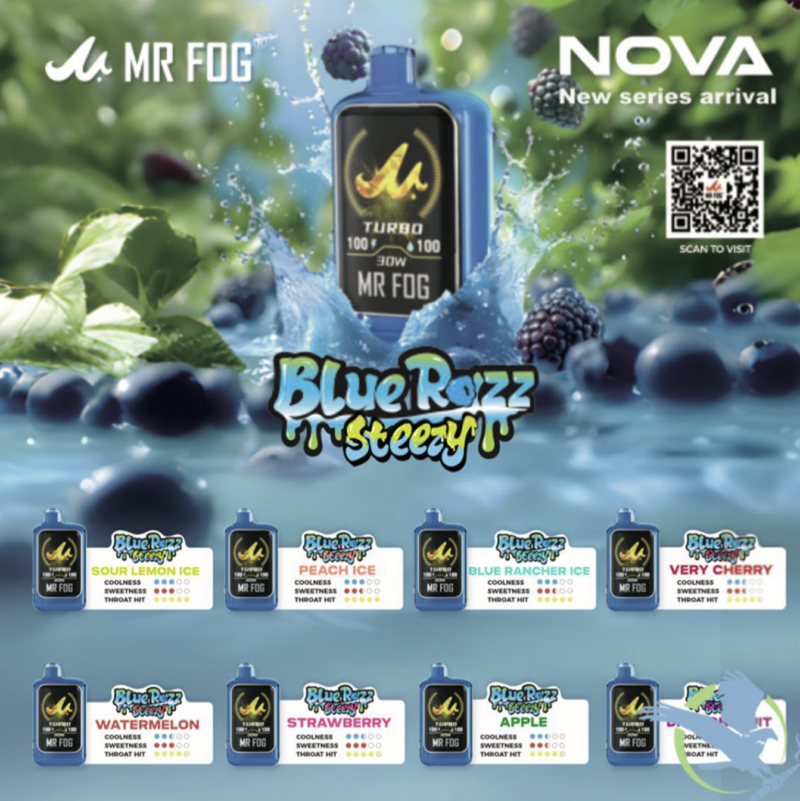 Mr. Fog Blue Steezy Nova Series 5% Nic Disposable Vapes