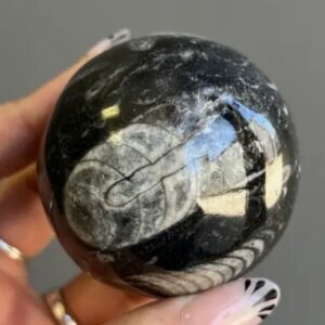 Orthoceras Fossil Crystal Sphere