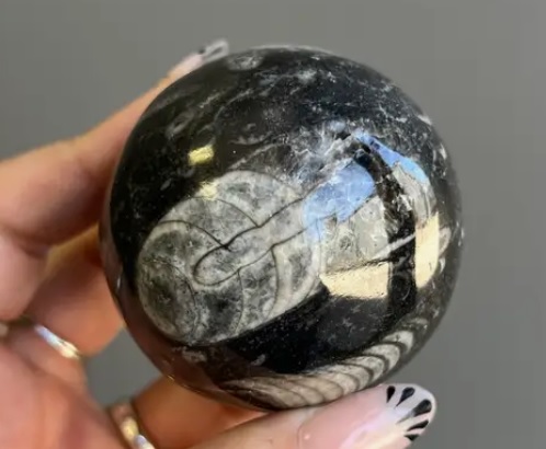 Orthoceras Fossil Crystal Sphere