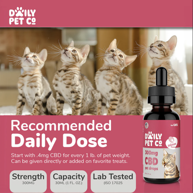 Daily Pet Co - Cat Drops 600mg