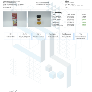 4671a20c-6075-4f5e-bc8d-9aa35328d9f6.png Mellow Fellow Terp Sauce 2g Disposable