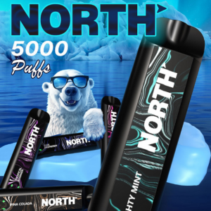 North 5000 Disposable 10mL 5% Nicotine